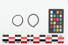Foto von Bronzering (NHMW-PRAE-025993)